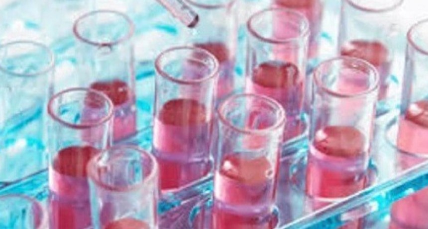 Una fundaci&oacute;n rosarina lidera innovador estudio que busca prevenir la gastroenteritis aguda